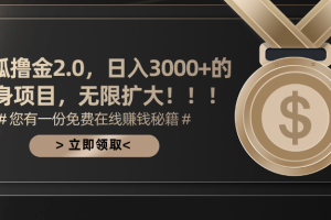 （11196期）搜狐撸金2.0日入3000+，可无限扩大的翻身项目