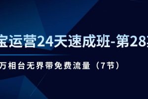 淘宝运营24天速成班第28期：最新万相台无界带免费流量（7节课）