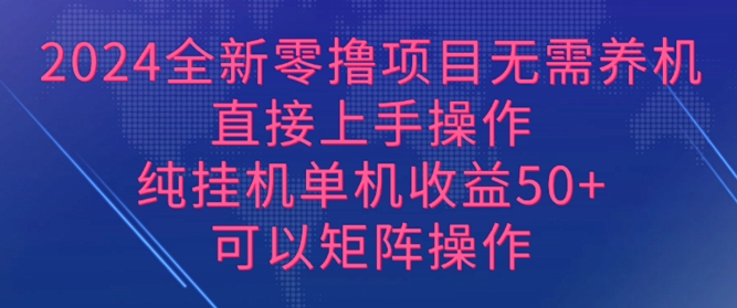 2024全新零撸项目，无需养机，直接上手操作 纯挂JI，单机收益50+，可以矩阵操作