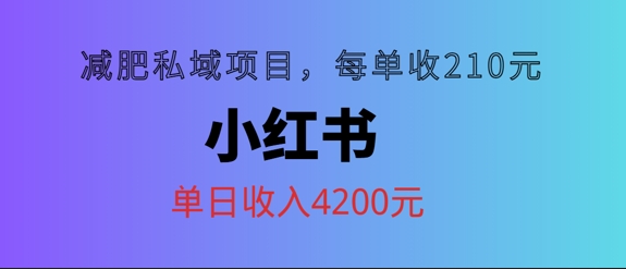 小红书减肥私域项目，每单210元，单日可卖出15单，利润3150