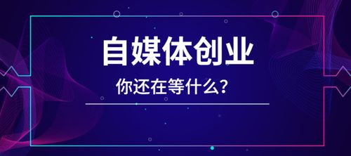 自媒体创业怎么起步，零成本起步自媒体之路：10天内创业成神秘巨星！插图