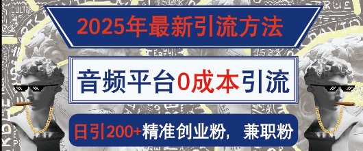 2025年最新引流方法，音频平台0成本引流，日引200+精准创业粉bbb