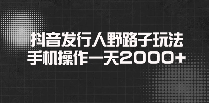 （14068期）抖音发行人野路子玩法，手机操作一天2000+bbb