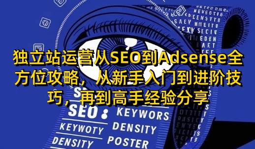 独立站运营从SEO到Adsense全方位攻略，从新手入门到进阶技巧，再到高手经验分享bbb