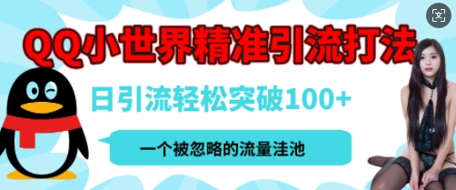 QQ私域引流平台，流量年轻且巨大，实操单日引流100+创业粉，月精准变现1W+bbb